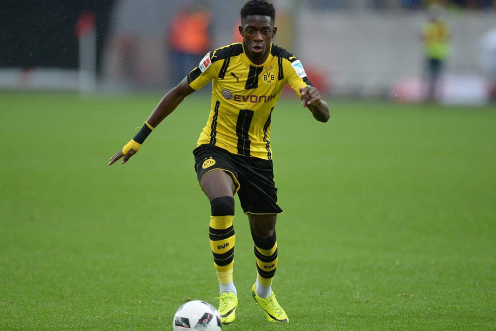 目前队内不 目前队内不