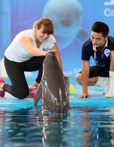 哈登餐厅欠 哈登餐厅欠